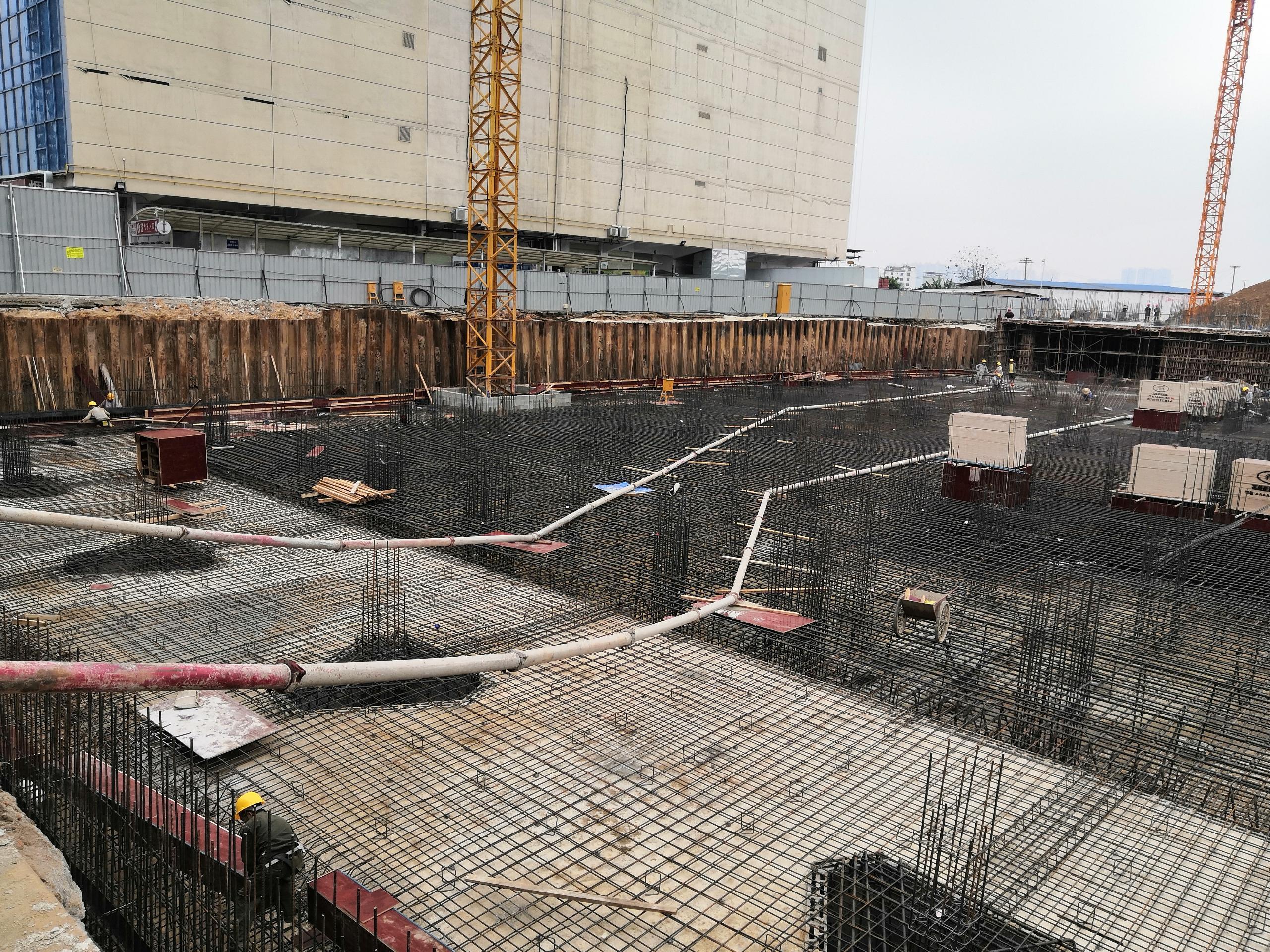 大學(xué)公園里·上城