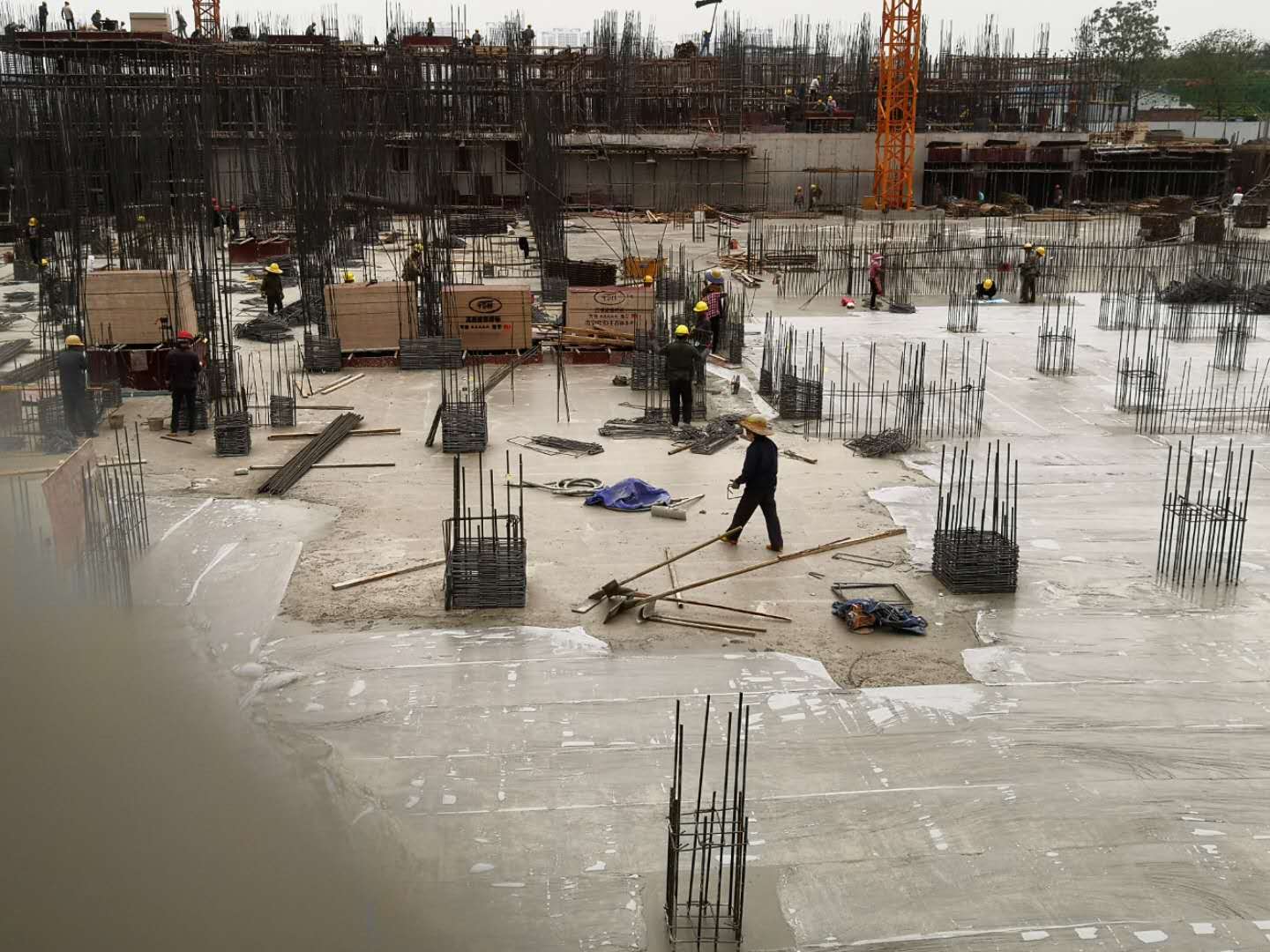 大學(xué)路公園里.上城